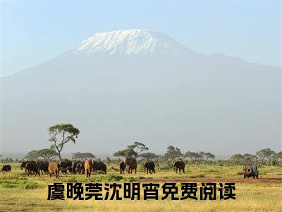 虞晚莞沈明宵（虞晚莞沈明宵）全文无弹窗大结局_虞晚莞沈明宵小说最新章节列表