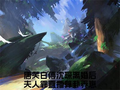 离婚后夫人靠直播算卦养崽崽（唐笑白傅沈琛）全文免费阅读无弹窗大结局_唐笑白傅沈琛（离婚后夫人靠直播算卦养崽崽）最新章节免费阅读