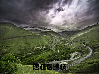 唐植煜颂枝唐植煜颂枝抖音热推新书小说全文阅读（唐植煜颂枝）全文免费阅读大结局