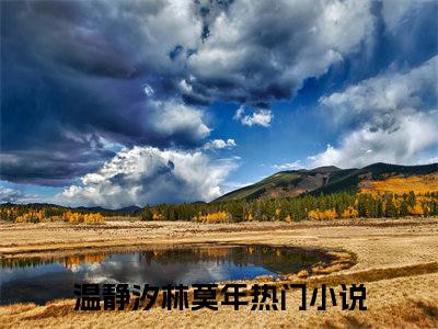 温静汐林莫年（温静汐林莫年）全文免费阅读无弹窗大结局_温静汐林莫年全文免费阅读_笔趣阁（温静汐林莫年）