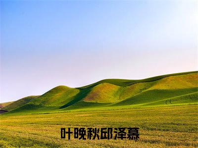 叶晚秋邱泽慕小说全文（叶晚秋邱泽慕）在线阅读-叶晚秋邱泽慕全文免费阅读无弹窗大结局