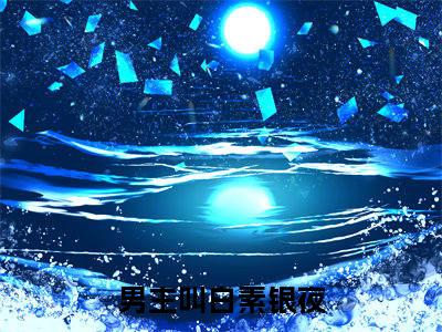 白素银夜是什么小说-（白素银夜）小说白素银夜全文阅读