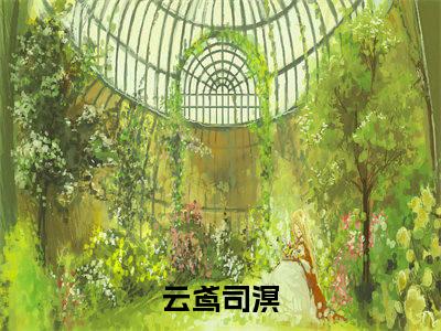 云鸢司溟小说全文免费阅读无弹窗大结局_(云鸢司溟)云鸢司溟最新章节列表笔趣阁（云鸢司溟）