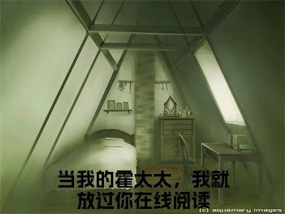 陆暖霍司铭（当我的霍太太，我就放过你）全文免费阅读大结局_陆暖霍司铭全文在线完本阅读