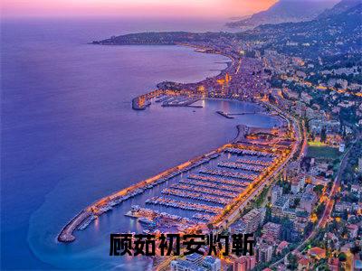 顾茹初安灼靳:顾茹初安灼靳全文免费阅读无弹窗大结局_顾茹初安灼靳:顾茹初安灼靳免费阅读