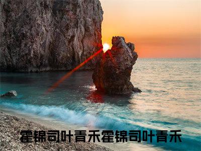 霍锦司叶青禾（霍锦司叶青禾）全文免费阅读无弹窗大结局_（霍锦司叶青禾）霍锦司叶青禾全文阅读-笔趣阁