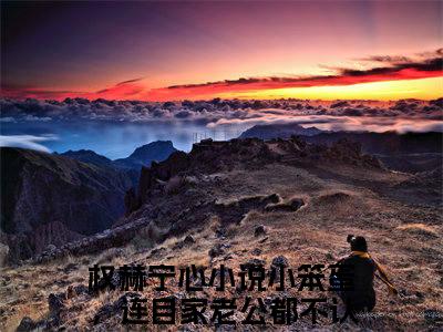 权赫宁心（小笨蛋，连自家老公都不认识了？）全文免费阅读无弹窗大结局-权赫宁心免费阅读全文大结局-笔趣阁