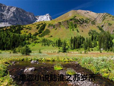 热点小说陆淮之苏岁禾，陆淮之苏岁禾免费章节阅读