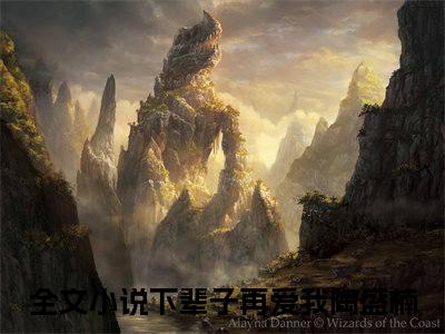 下辈子再爱我陶盛楠小说在线阅读（下辈子再爱我陶盛楠）全文免费阅读大结局_下辈子再爱我陶盛楠最新章节列表笔趣阁