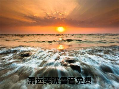 萧远奕沈雪音全文小说-萧远奕沈雪音小说最新章节免费阅读