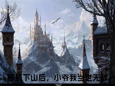 顾辰是哪部小说的主角，下山后，小爷我当世无敌全文无弹窗完整版阅读