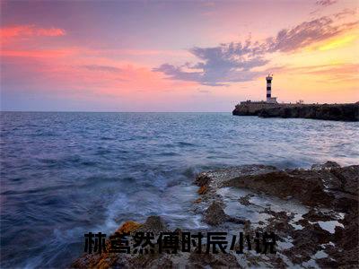 林鸢然傅时辰（林鸢然傅时辰）完结小说无弹窗-林鸢然傅时辰全文大结局免费阅读已完结