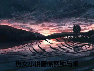 唐晓然钟与枫晚间小说全本资源-唐晓然钟与枫小说阅读在线唐晓然钟与枫