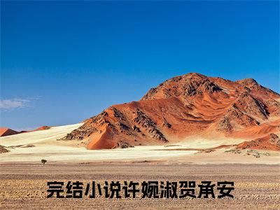 许婉淑贺承安(许婉淑贺承安)最新章节在线阅读-许婉淑贺承安已完结全集大结局小说