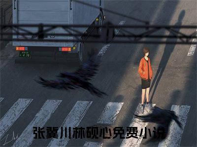 热推新书张冀川林砚心小说全文（张冀川林砚心）全文免费阅读_张冀川林砚心最新章节无弹窗阅读