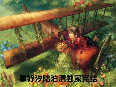 慕妤汐陆泊清（慕妤汐陆泊清）小说全文免费阅读大结局-慕妤汐陆泊清全章节抖音小说