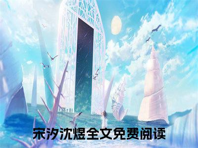 宋汐沈煜阿煜，你等不到的全文免费阅读无弹窗大结局_阿煜，你等不到的小说免费阅读