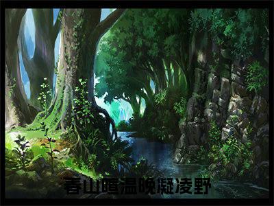 温晚凝凌野（春山喧）全集免费阅读无弹窗_温晚凝凌野正版小说免费阅读