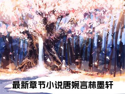 唐婉言林墨轩（唐婉言林墨轩）全文免费阅读无弹窗大结局_唐婉言林墨轩最新章节列表_笔趣阁