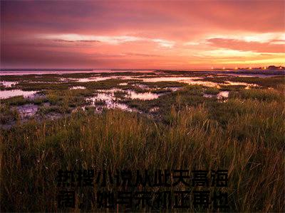 顾安宁宋祁正小说（从此天高海阔，她与宋祁正再也不见）热推新书_顾安宁宋祁正最新章节在线阅读_笔趣阁