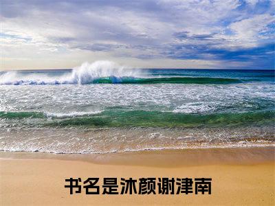 沐颜谢津南（沐颜谢津南）小说全本完结版免费阅读