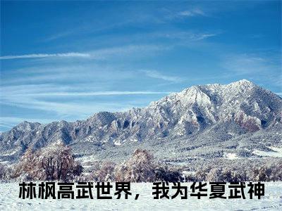 高武世界，我为华夏武神（林枫）全文免费高武世界，我为华夏武神读无弹窗大结局_林枫免费高武世界，我为华夏武神读全文最新章节列表_笔趣阁