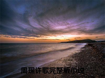 周琛许歌全文免费阅读无弹窗大结局_(周琛许歌小说)周琛许歌无弹窗最新章节列表