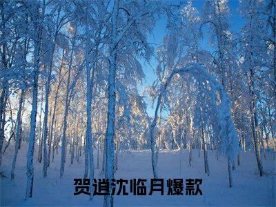 贺逍沈临月全文免费阅读无弹窗-贺逍沈临月最新章节列表在线阅读