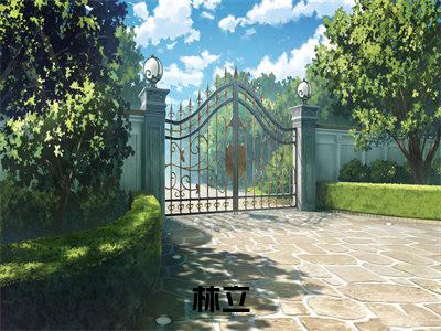 林立小说（盛世枭雄）全文免费阅读无弹窗大结局_盛世枭雄小说免费阅读无弹窗最新章节列表