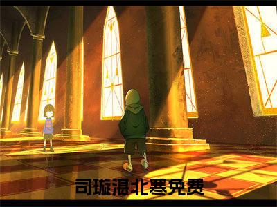 偷爱成婚，大小姐她明抢暗撩小说全文免费阅读无弹窗大结局-司璇湛北寒免费阅读无弹窗