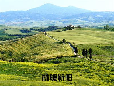 二嫁进高门小说（林暖靳阳）全文完整版免费阅读-林暖靳阳全文完整版免费阅读（林暖靳阳）