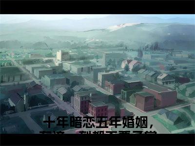唐向南贺识琛（十年暗恋五年婚姻，在这一刻都不要了）全文免费读无弹窗大结局_十年暗恋五年婚姻，在这一刻都不要了免费小说唐向南贺识琛读无弹窗最新章节列表