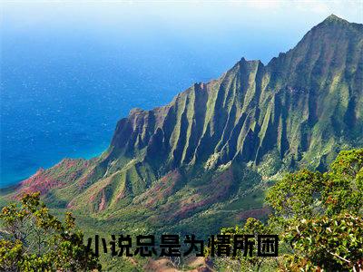 总是为情所困全本资源免费阅读结局无删节主角：姜雁澜霍远舟小说全文阅读无弹窗
