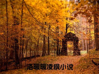 洛暖暖凌枫小说免费阅读无弹窗《洛暖暖凌枫》_洛暖暖凌枫全文阅读
