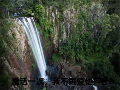 秦时张悦（重活一次，我不再爱他）免费阅读_重活一次，我不再爱他小说免费阅读-笔趣阁