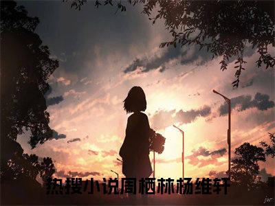 曲终不复朝暮小说全文免费阅读无弹窗-周栖林杨维轩全章节阅读