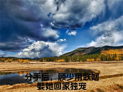 顾靳腾韩静怡（大结局小说全集完整版）分手后，顾少用联姻娶她回家独宠小说_顾靳腾韩静怡全文阅读笔趣阁