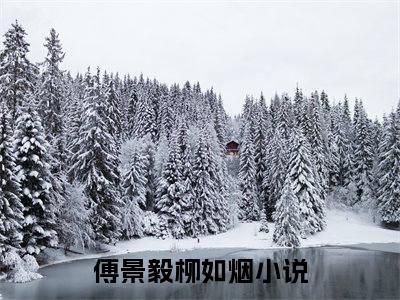 （萌娃助攻：爹地追妻三十六计免费+番外）傅景毅柳如烟高质量小说萌娃助攻：爹地追妻三十六计推荐阅读-傅景毅柳如烟小说最新章节
