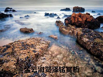 孟云淑贺泽铭小说免费(孟云淑贺泽铭)全文免费阅读无弹窗-孟云淑贺泽铭小说全文免费阅读最新章节列表_笔趣阁