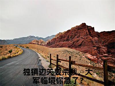 秦风全文免费阅读无弹窗大结局-独镇边关要杀我，大军临境你急了？在线阅读