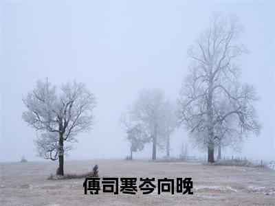 傅司寒岑向晚（傅司寒岑向晚）全文免费阅读无弹窗_傅司寒岑向晚最新小说_笔趣阁（傅司寒岑向晚）