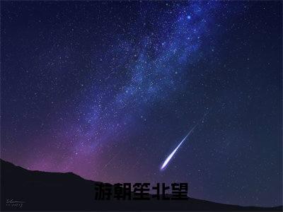 《游朝笙北望》游朝笙北望（大结局小说全集完整版）游朝笙北望小说_全文阅读笔趣阁