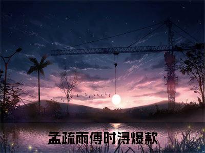 孟疏雨傅时浔免费小说 孟疏雨傅时浔全文在线阅读