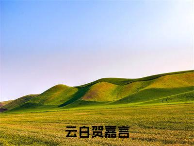 云白贺嘉言是哪部小说的主角，云白贺嘉言免费阅读全文大结局