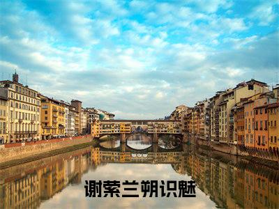 谢萦兰朔（识魅）多人推荐-识魅谢萦兰朔好看的小说完整版全文