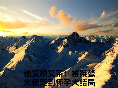 （热推新书）他又撩又茶！被桀骜大佬宠到怀孕完整版免费小说无弹窗阅读_他又撩又茶！被桀骜大佬宠到怀孕最新章节列表_笔趣阁（虞之琬谢京墨）