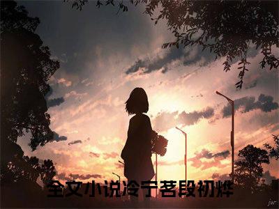 冷宁茗段初烨（冷宁茗段初烨）全文免费阅读无弹窗大结局_冷宁茗段初烨免费最新章节列表_笔趣阁