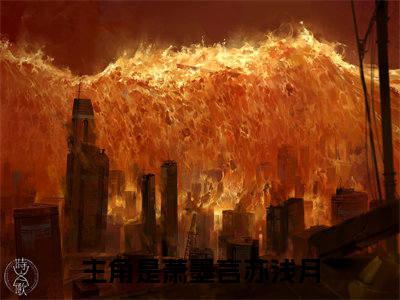 萧墨言苏浅月精选热门小说无弹窗-萧墨言苏浅月在线赏析