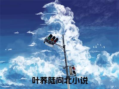叶荞陆向北小说免费阅读无弹窗大结局-叶荞陆向北（叶荞陆向北）小说全文阅读