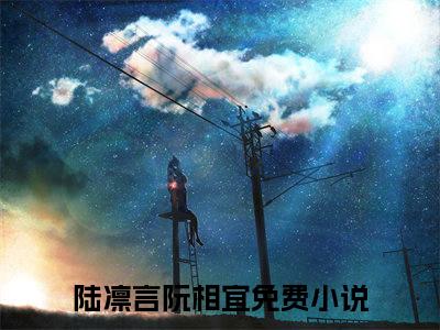 陆凛言阮相宜全文免费阅读-（陆凛言阮相宜）小说全文免费阅读正版无弹窗